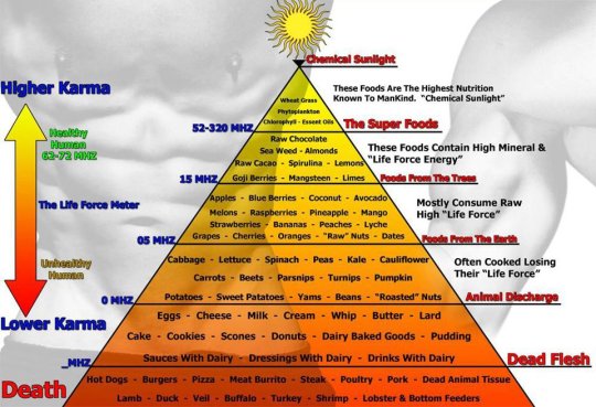 food-karma-pyramid